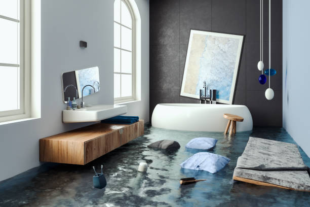 Best Professional water damage repair  in Victoria, KS