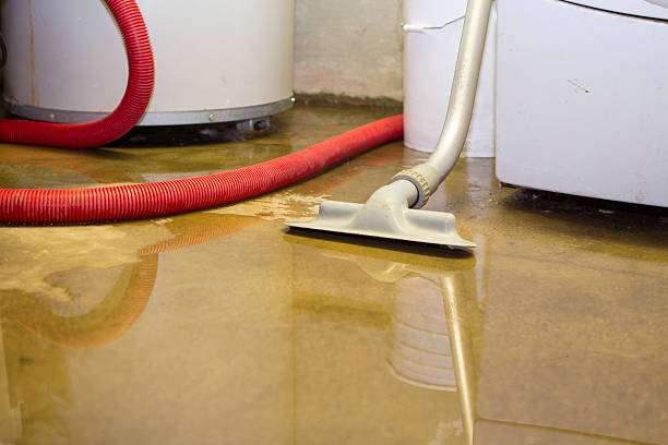 Best Flooded house restoration  in Victoria, KS